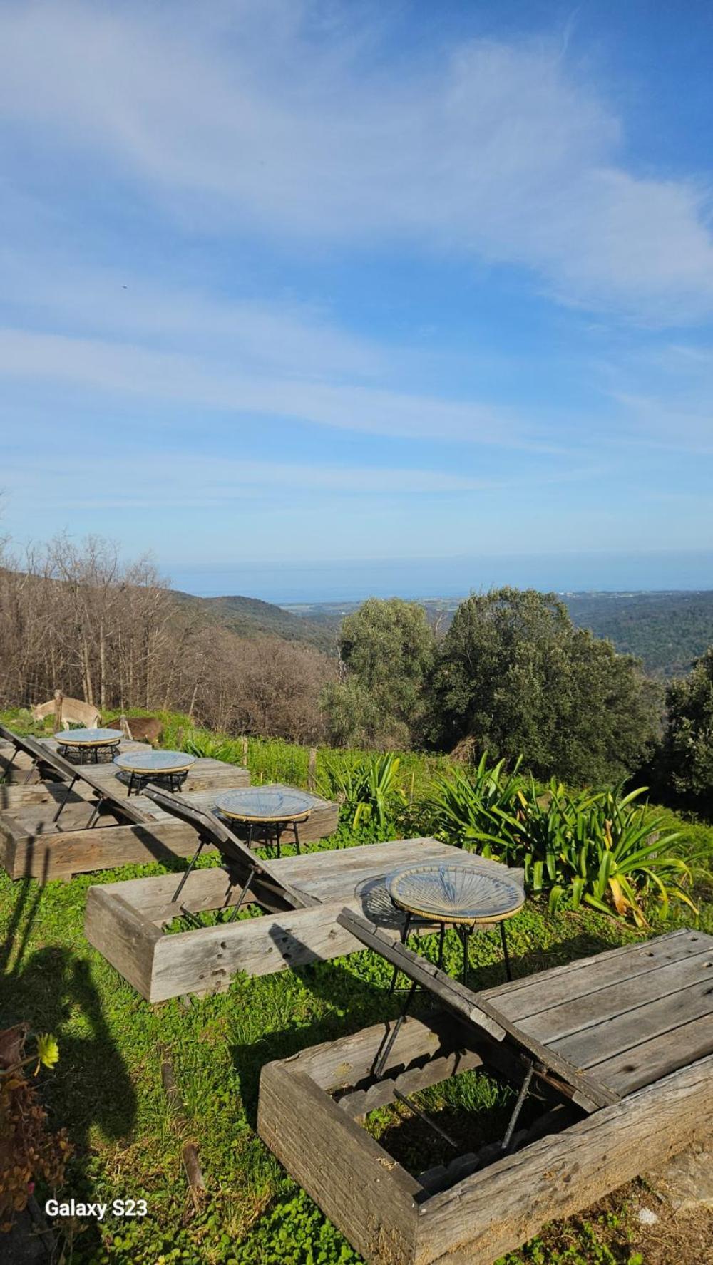 Porri Domaine Colonna-Santini, Gite Piscine, Sauna, Spa מראה חיצוני תמונה